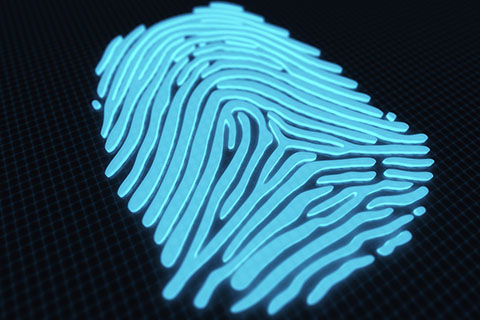 Fingerprint biometric